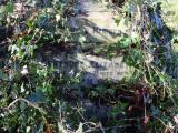 image of grave number 283521